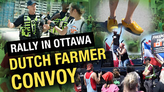 Solidarity convoy supports protesting farmers at Dutch embassy in Ottawa