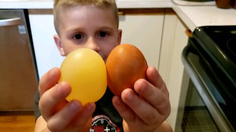 Easy Egg Science Project