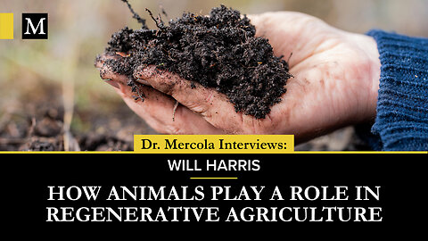 How Animals Play a Role in Regenerative Agriculture - Interview with Will Harris