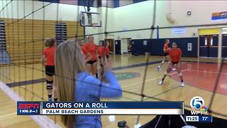 Gators Volleyball On A Roll