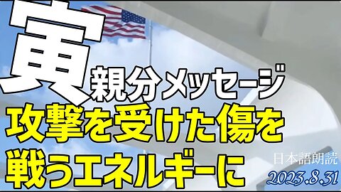 寅親分メッセージ🐯攻撃を受けた傷を戦うエネルギーに[日本語朗読]050831