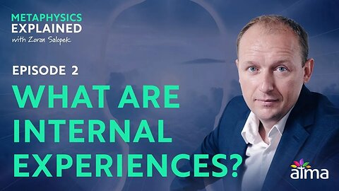 WHAT ARE INTERNAL EXPERIENCES? / METAPHYSICS SERIES - EPISODE 2 / ZORAN SALOPEK / ATMA