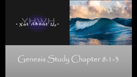 Genesis Study 44