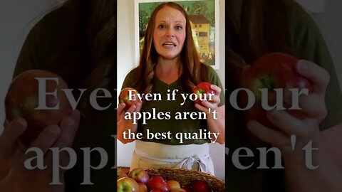 BEST WAYS TO USE YOUR APPLES! #apples #applesauce #applebutter #recipe #shorts #shortsvideo #fall