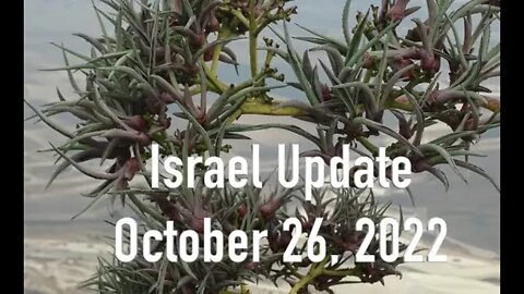 Israel Update October 26, 2022