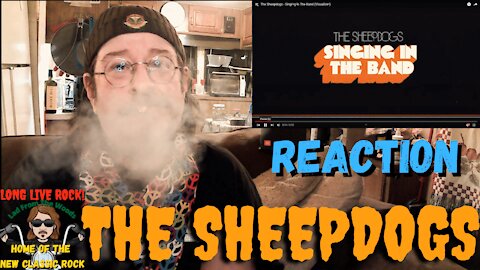 The Sheepdogs - Singing In The Band (NEW Classic Rock REACTION)