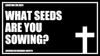 What Seeds Are You Sowing?