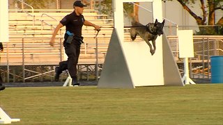 Teams prepare for police k9 competition