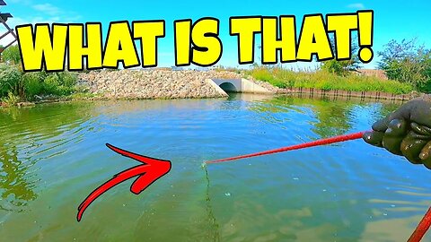 GIANT MAGNET Jackpot Beneath the Loaded Canal's Surface!!