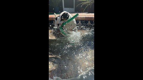 She loves the hose