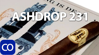 CigarAndPipes CO Ashdrop 231