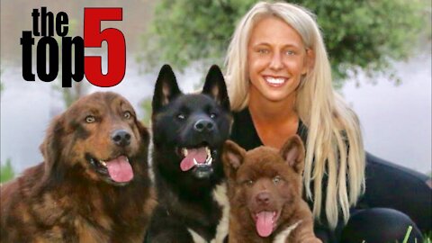TOP 5 Dog Trainers On Social Media ft. Victoria Stilwell, Zak George, Emily Larlham & Cesar Millan
