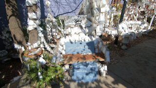 Blowing Rock Prayer Tree