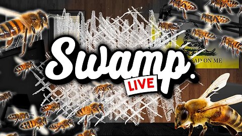 I Was Attacked By Bees Today | SWAMP LIVE