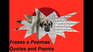 Bater em animal, faz de você uma pessoa sem caráter, lixo de ser humano! [Frases e Poemas]