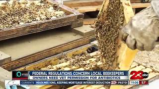 Federal regulations change how beekeepers get antibiotics for bees