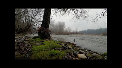 Rain on a gloomy day by a fast moving river