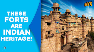 Top 5 Indian forts to see before your die