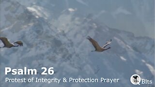 PSALM 026 // PROTESTATION OF INTEGRITY AND PRAYER FOR PROTECTION