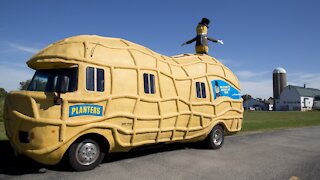 Planters Hiring Drivers For 'Nutmobiles'