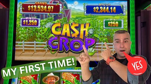 💥My First Time Playing Cash Crop - And I LIKE IT!💥 Foxwoods Casino