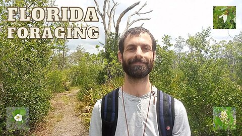 Naturevore: FLORIDA FORAGING Walk #28 (Apr. 27): ENDANGERED Scrub: Stillingia, Gopher Apple, Pawpaw