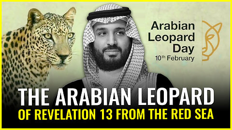 The ARABIAN leopard of Revelation 13 from the Red Sea