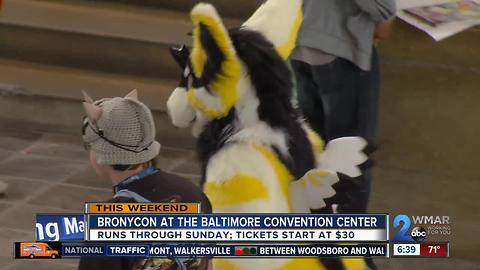 "BronyCon" trots into Baltimore this weekend