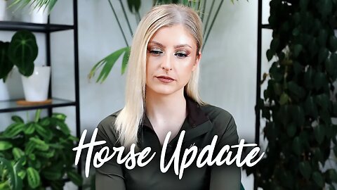 The Horse update you've been waiting for...
