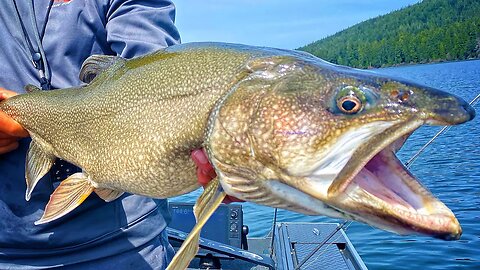 Trophy TROUT Fishing - Chasing The RECORD!