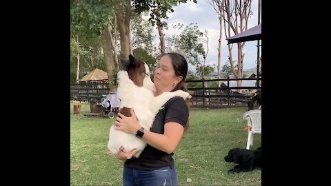 Cuddling a mini horse is the cutest thing ever