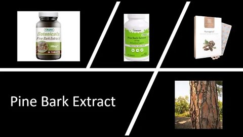 Pycnogenol - Pine Bark Extract or Grape Seed Extract