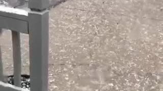 VIEWER VIDEO: Hail in Oakland, Iowa