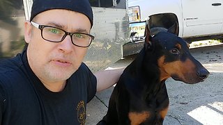 Are Doberman Pinschers dangerous dogs?
