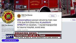 Person struck by train