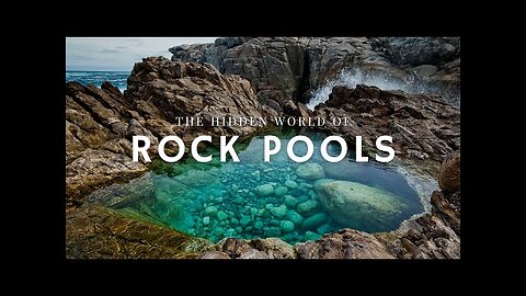 The Secret Life of Rock Pools | Nature World Explore