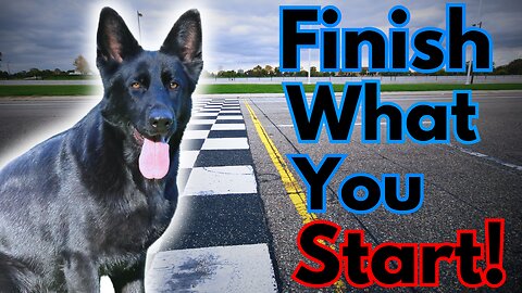 ALWAYS Finish What you Start with Your Dog!!!
