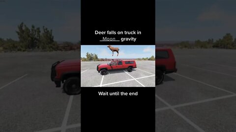 Oh deer / BeamNG DRIVE