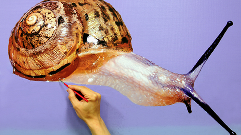 Snail on Glass