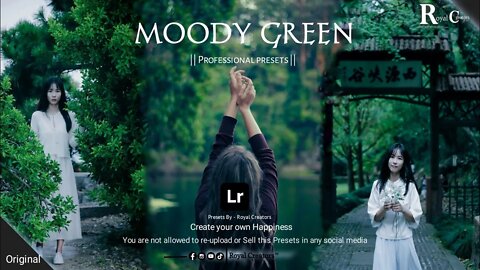 Moody green || Mobile Lightroom Presets || Royal Creators
