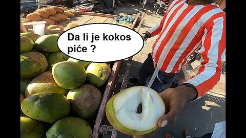 Napitak od kokosa, a ne od kokosi.. Kako sam prezivio kokos #coconut #india #jaipur #bosnia