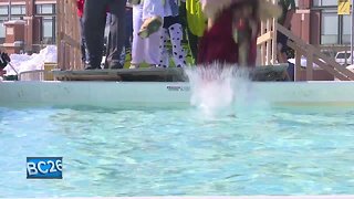Hundreds plunge for Special Olympics at Lambeau Field