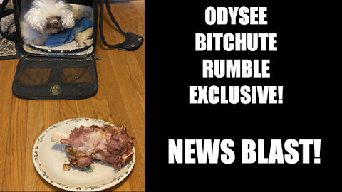 Rumble/Odysee/Bitchute News Blast! March 22nd 2024