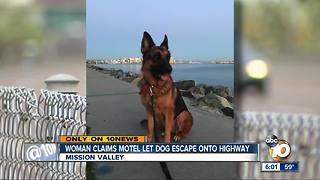 Woman claims motel let dog escape onto highway