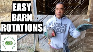 Permaculture Barn: Animal Rotations