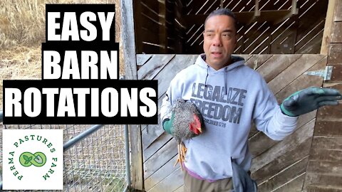 Permaculture Barn: Animal Rotations