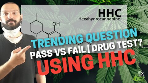 Top Trending Question In Cannabis: Can I Pass A Drug Test With HHC?