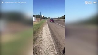 Un homme accompagne sa voiture en chanson après un accident