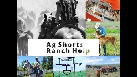 HELP! Ranch Help Throughout the Year - Ag Shorts