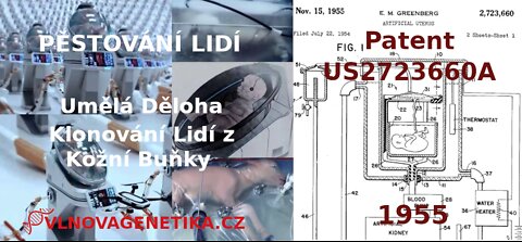 Umělá Děloha – Klonování Lidí z Kožní Buňky